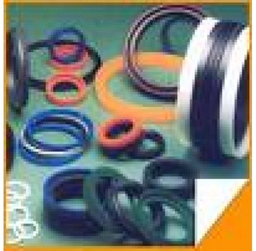 HYDRAULIC SEALS